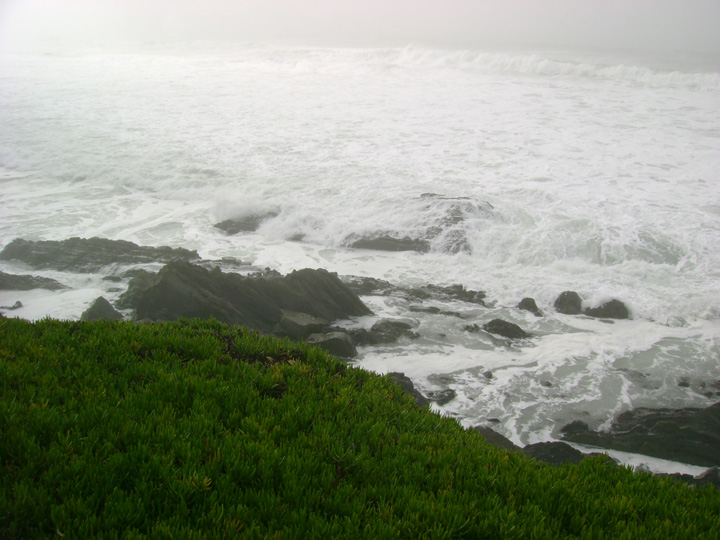 3 ocean_view_housefront